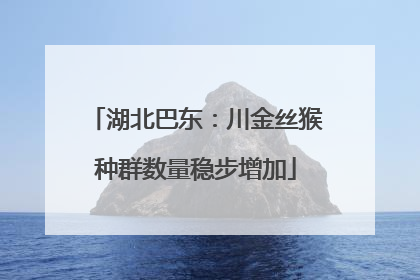 湖北巴东：川金丝猴种群数量稳步增加