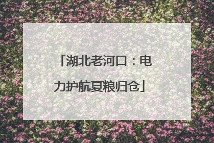 湖北老河口：电力护航夏粮归仓