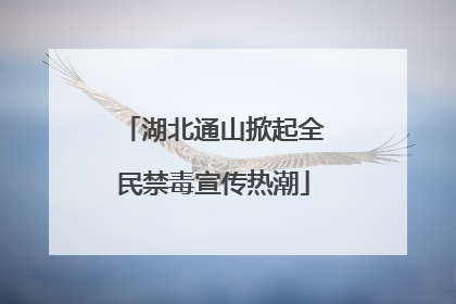 湖北通山掀起全民禁毒宣传热潮