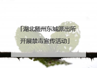 湖北随州东城派出所开展禁毒宣传活动