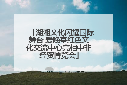 湖湘文化闪耀国际舞台 爱晚亭红色文化交流中心亮相中非经贸博览会