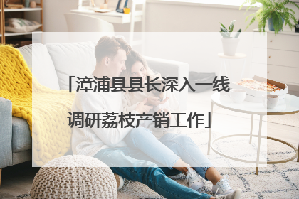 漳浦县县长深入一线调研荔枝产销工作