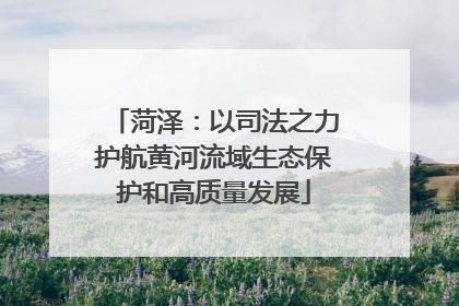 菏泽：以司法之力护航黄河流域生态保护和高质量发展