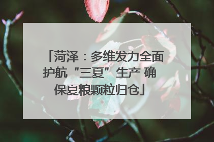 菏泽：多维发力全面护航“三夏”生产 确保夏粮颗粒归仓