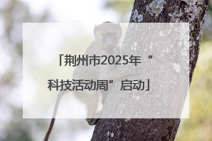 荆州市2025年“科技活动周”启动