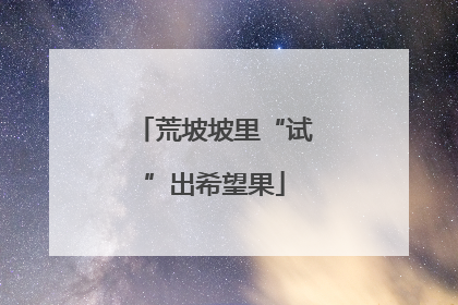 荒坡坡里“试”出希望果