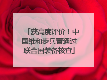 获高度评价！中国维和步兵营通过联合国装备核查