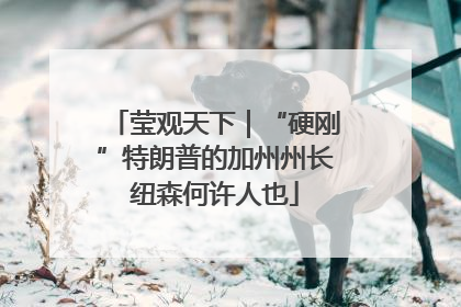 莹观天下｜“硬刚”特朗普的加州州长纽森何许人也