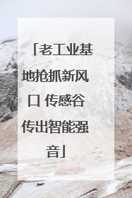 老工业基地抢抓新风口 传感谷传出智能强音