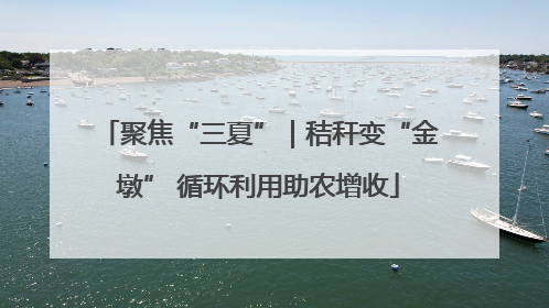 聚焦“三夏”｜秸秆变“金墩” 循环利用助农增收