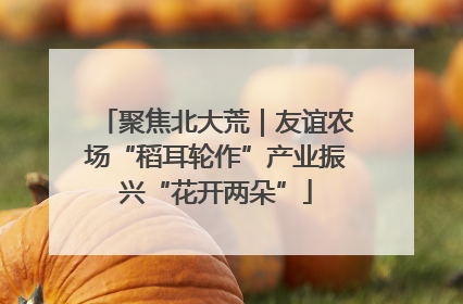 聚焦北大荒｜友谊农场“稻耳轮作”产业振兴“花开两朵”