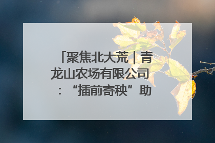 聚焦北大荒｜青龙山农场有限公司：“插前寄秧”助力农业节本增效