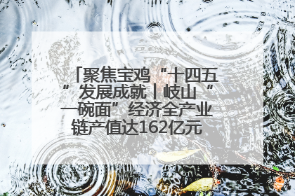 聚焦宝鸡“十四五”发展成就丨岐山“一碗面”经济全产业链产值达162亿元 入选全国典型县