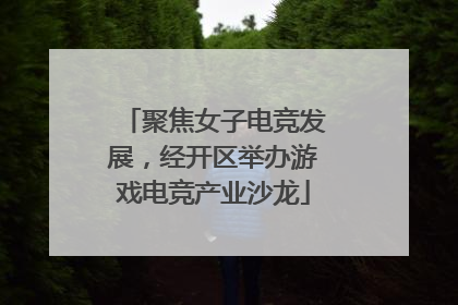 聚焦女子电竞发展，经开区举办游戏电竞产业沙龙