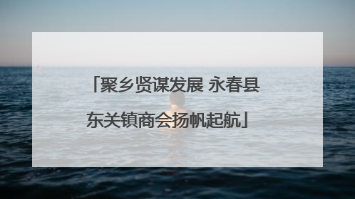 聚乡贤谋发展 永春县东关镇商会扬帆起航