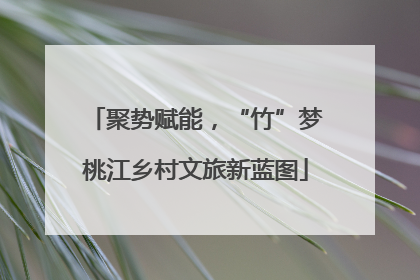 聚势赋能，“竹”梦桃江乡村文旅新蓝图