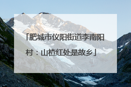 肥城市仪阳街道李南阳村：山楂红处是故乡