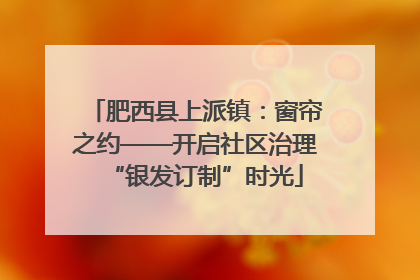 肥西县上派镇：窗帘之约——开启社区治理“银发订制”时光