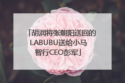 胡润将张朝阳送回的LABUBU送给小马智行CEO彭军