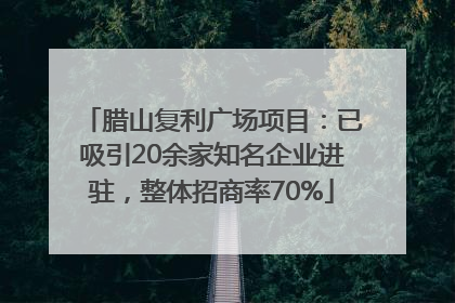 腊山复利广场项目：已吸引20余家知名企业进驻，整体招商率70%