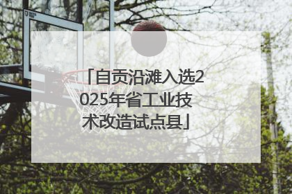 自贡沿滩入选2025年省工业技术改造试点县