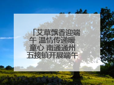 艾草飘香迎端午 温情传递暖童心 南通通州五接镇开展端午民俗传承活动