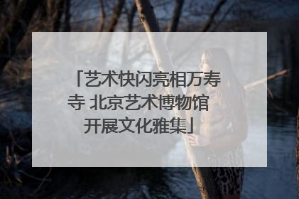 艺术快闪亮相万寿寺 北京艺术博物馆开展文化雅集