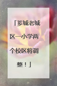 芗城老城区一小学两个校区将调整！