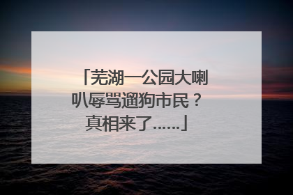 芜湖一公园大喇叭辱骂遛狗市民？真相来了……