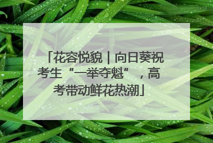 花容悦貌｜向日葵祝考生“一举夺魁”，高考带动鲜花热潮