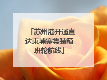 苏州港开通直达柬埔寨集装箱班轮航线