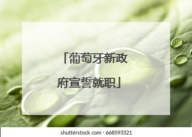 葡萄牙新政府宣誓就职
