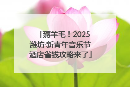 薅羊毛！2025潍坊·新青年音乐节酒店省钱攻略来了