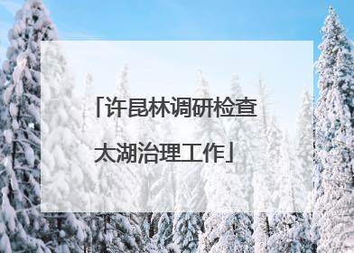 许昆林调研检查太湖治理工作