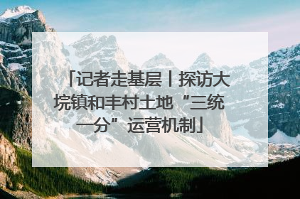 记者走基层丨探访大垸镇和丰村土地“三统一分”运营机制