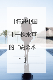 行进中国丨一株水草的“点金术”