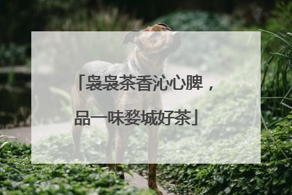 袅袅茶香沁心脾，品一味婺城好茶