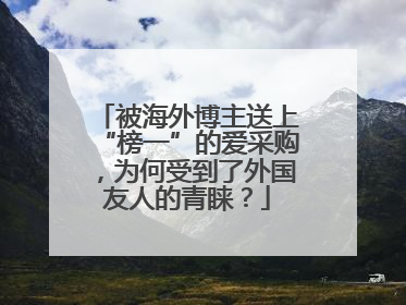 被海外博主送上“榜一”的爱采购，为何受到了外国友人的青睐？