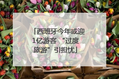 西班牙今年或迎1亿游客 “过度旅游”引担忧