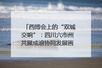 西博会上的“双城交响”：四川六市州共展成渝协同发展画卷｜西博视界