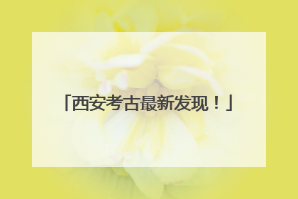 西安考古最新发现！