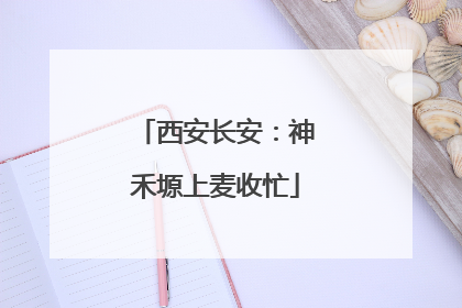 西安长安：神禾塬上麦收忙
