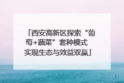西安高新区探索“葡萄+蔬菜”套种模式 实现生态与效益双赢