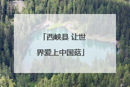 西峡县 让世界爱上中国菇