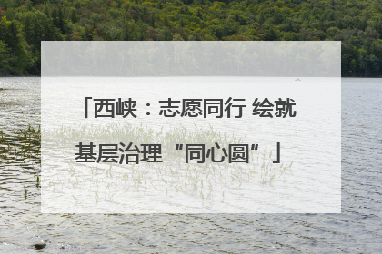 西峡：志愿同行 绘就基层治理“同心圆”