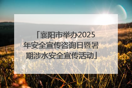 襄阳市举办2025年安全宣传咨询日暨暑期涉水安全宣传活动