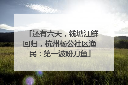 还有六天，钱塘江鲜回归，杭州杨公社区渔民：第一波盼刀鱼