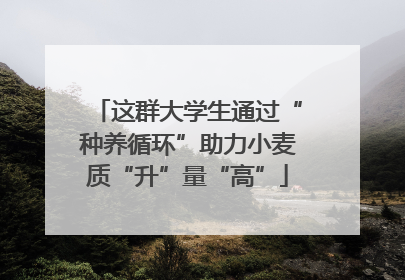 这群大学生通过“种养循环”助力小麦质“升”量“高”