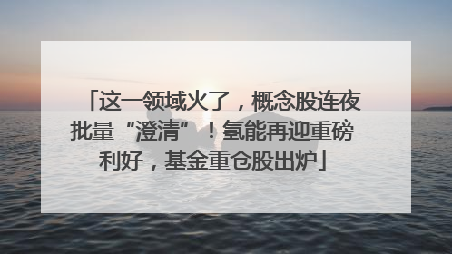 这一领域火了，概念股连夜批量“澄清”！氢能再迎重磅利好，基金重仓股出炉