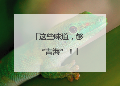 这些味道，够“青海”！